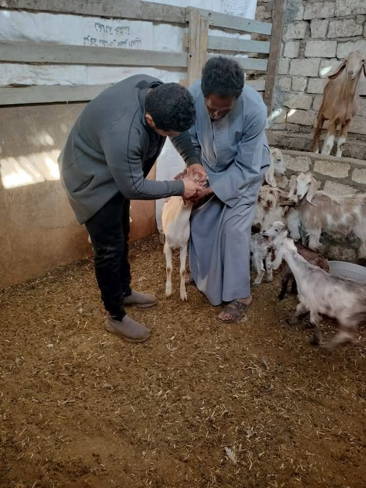 قافلة تناسلية بمنطقة النجارة 